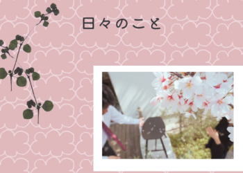 ブログ サムネ 福成展示場の桜