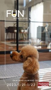 岡山市中区桑野 モデルハウス見学会 犬