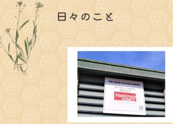 最上稲荷 参拝 新年 ブログ サムネイル