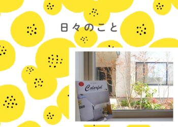 岡山市ブログ　日々のこと　カラフル発行